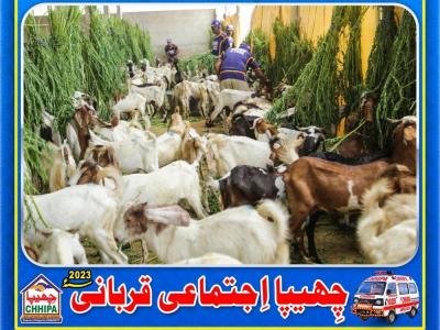 Ijtamai Qurbani 2023